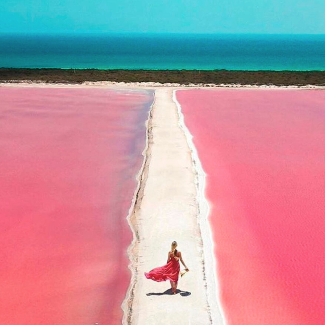 Las Coloradas, flamencos, fotografía y excursiones