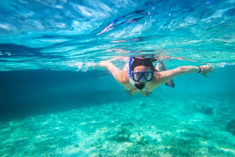 Cozumel buceo, cruceros y resorts